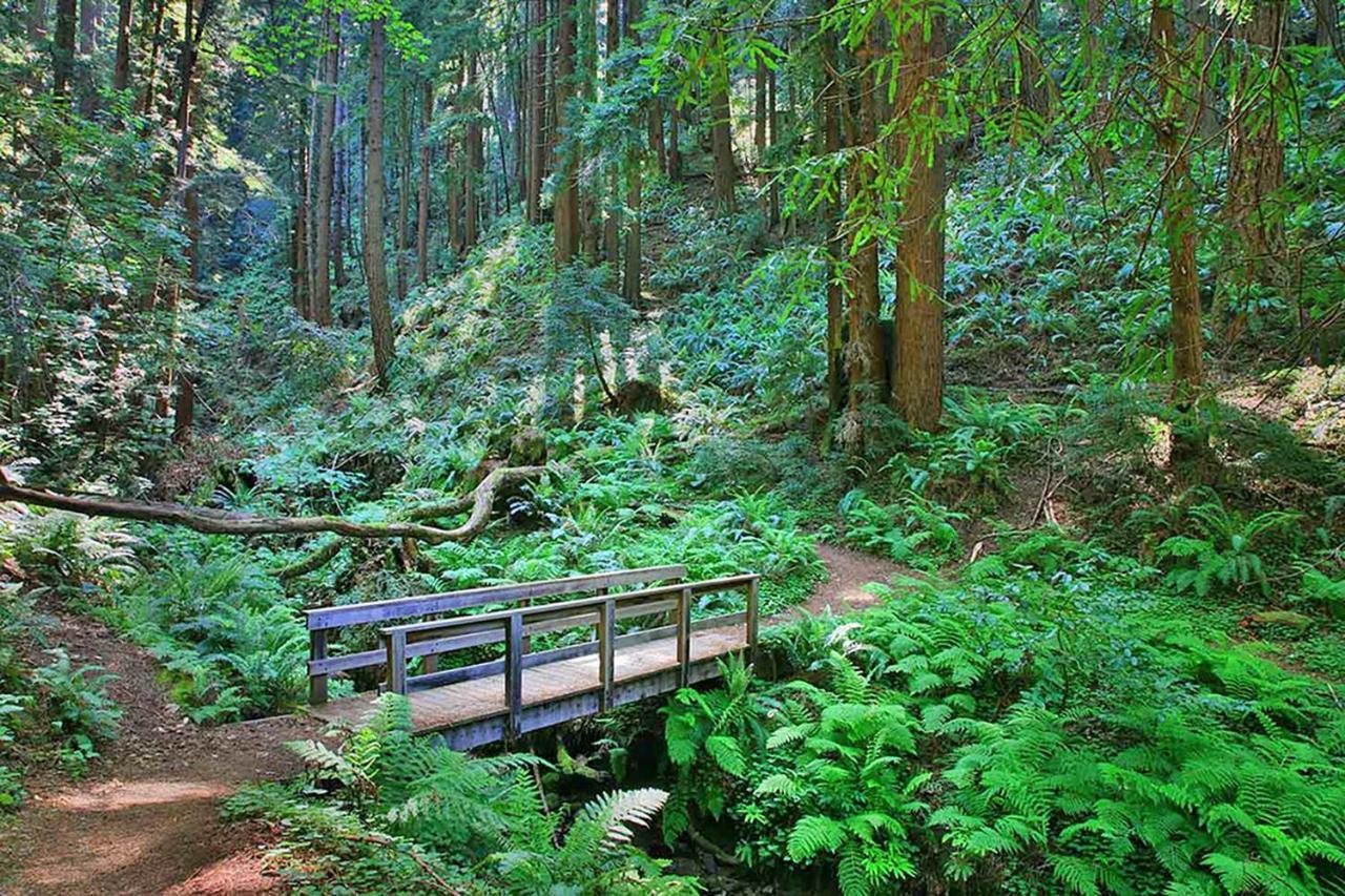 Montara Beach Mountain Escape エクステリア 写真